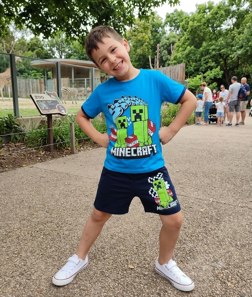 Conjunto Minecraft